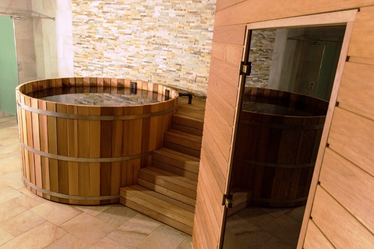 Plunge Sauna